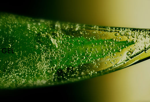 Aloe Vera wirkt von innen und außen.